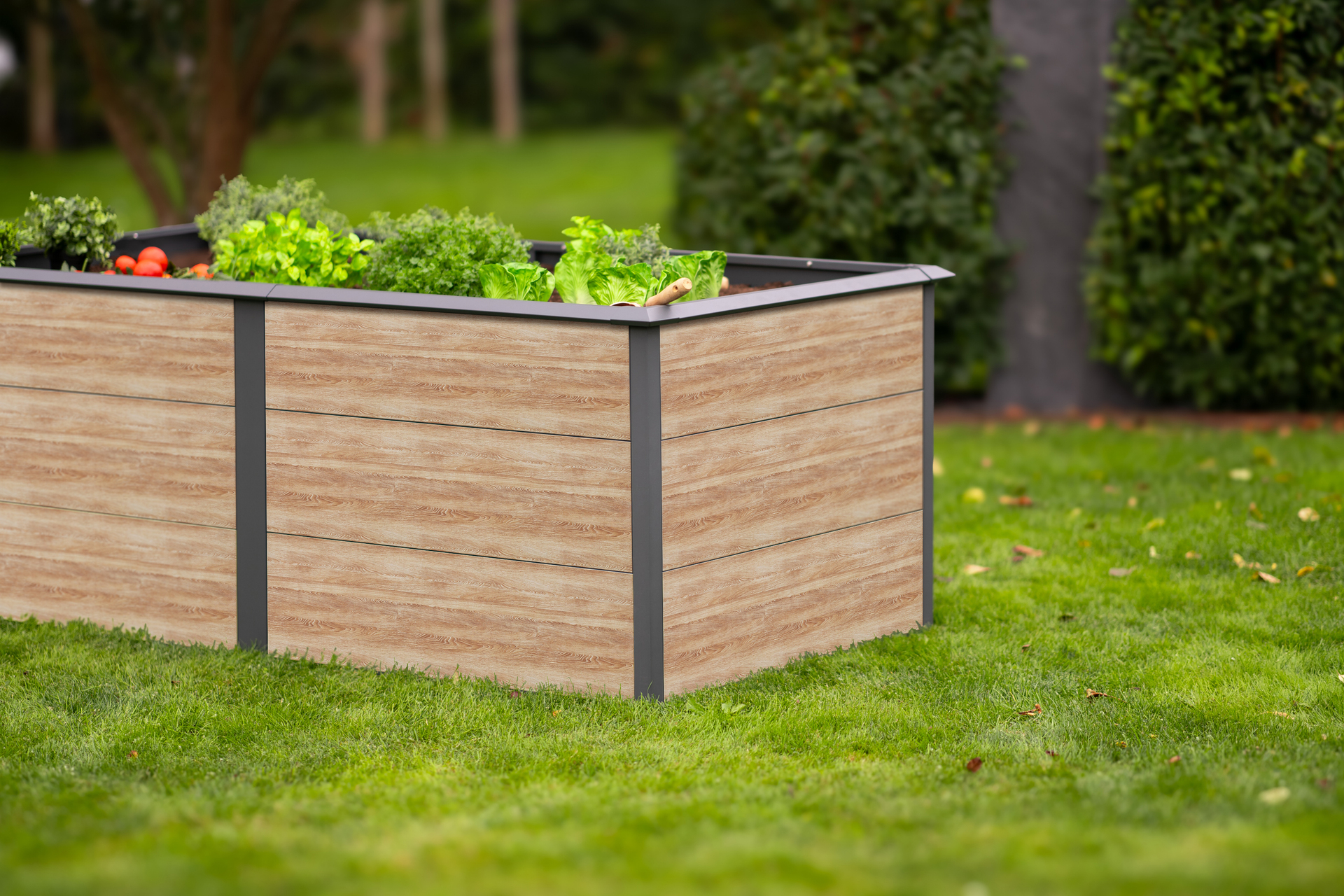 Hochbeet Primus-Multi XL bei leitermann.de günstig kaufen Hochbeet Primus-Multi XL
