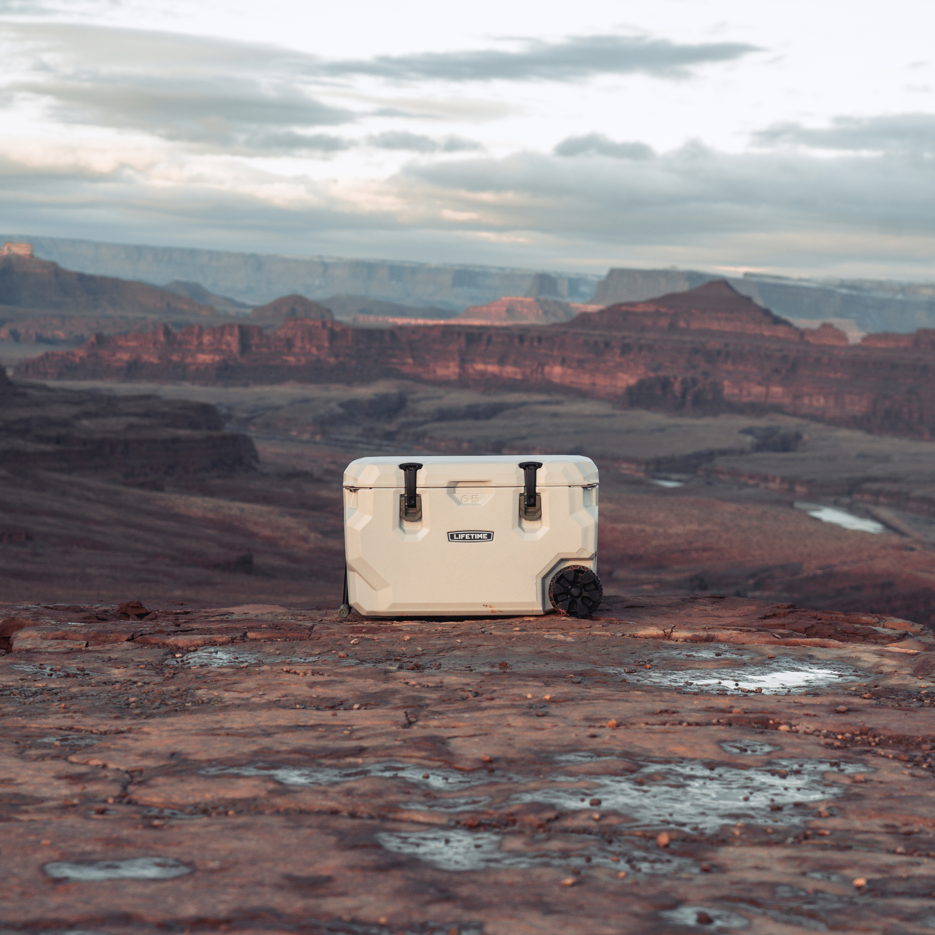 Kühlbox Cooler 65 mit Rollen