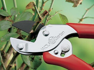 Gartenschere-Aktion RS-EN