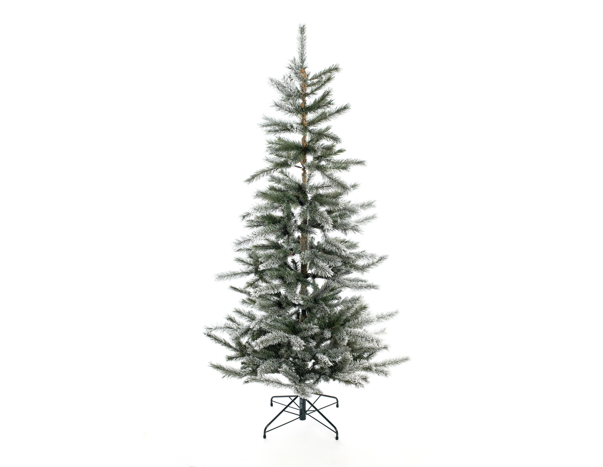 Weihnachtsbaum Cedar Kiefer Frost
