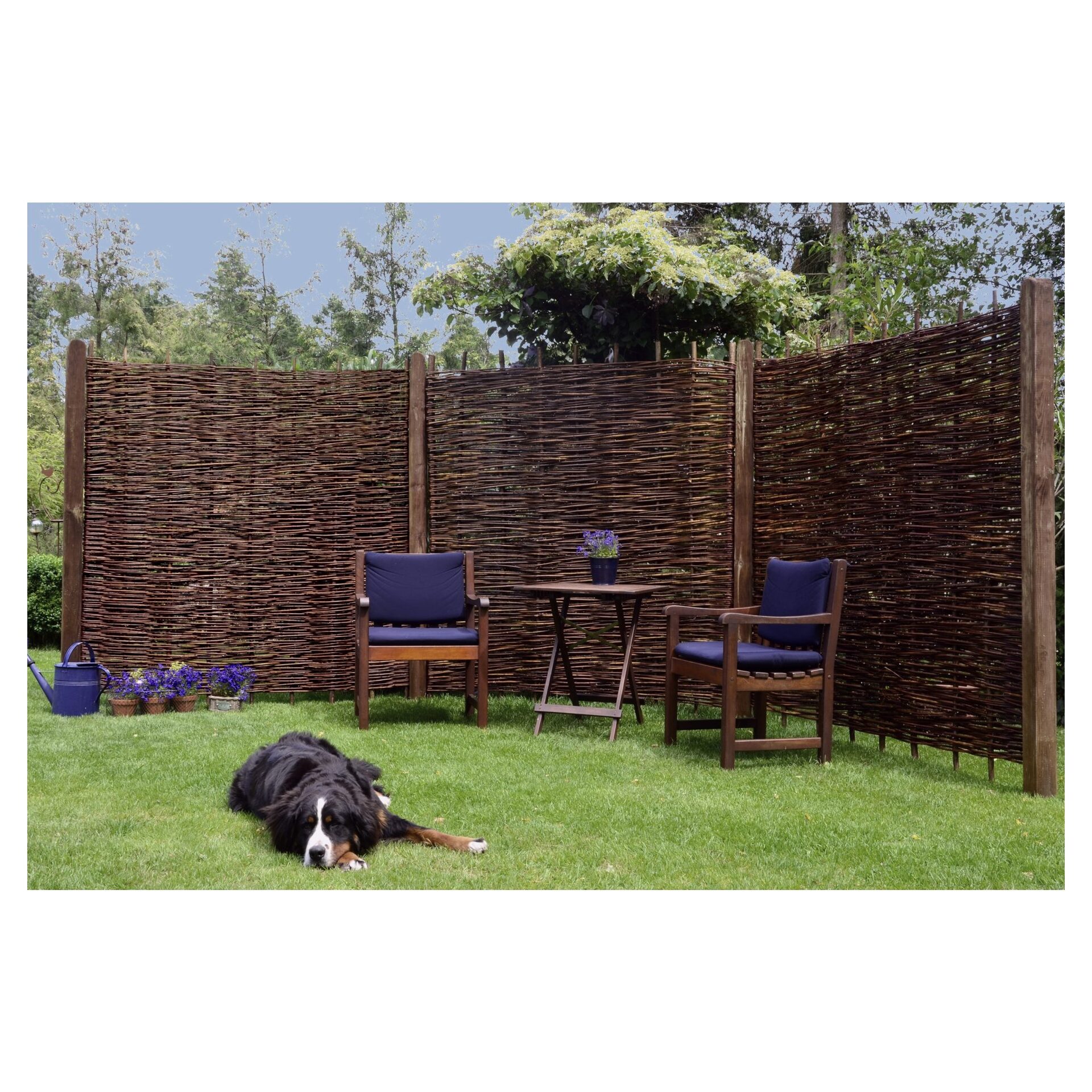 ASO Weidengeflechtzaun