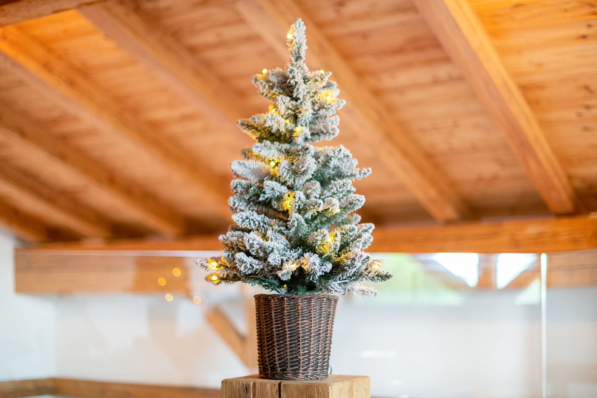 Weihnachtsbaum Kiefer Frost inkl. Lichterkette 90 cm