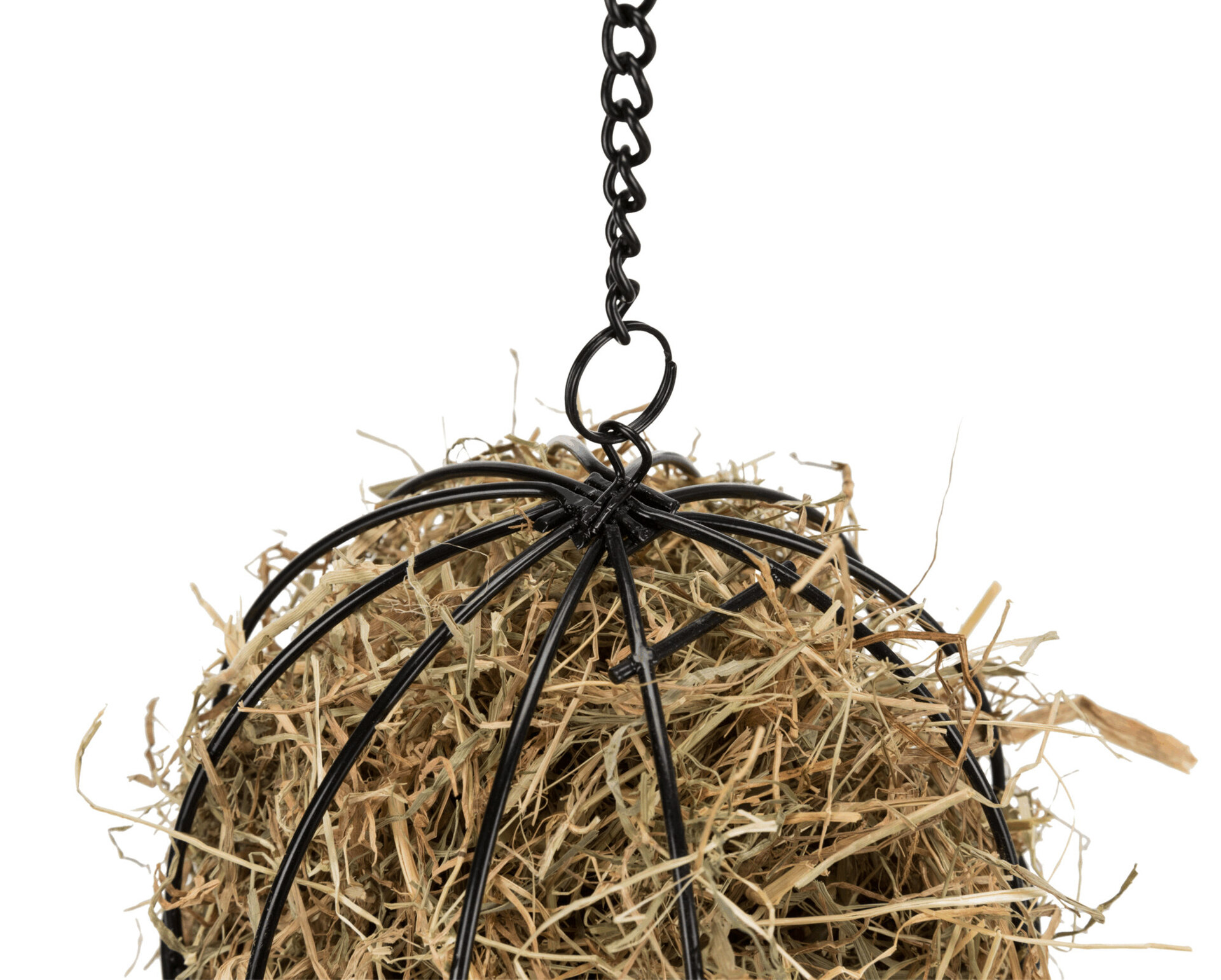 Food-Ball bei leitermann.de günstig kaufen Food-Ball