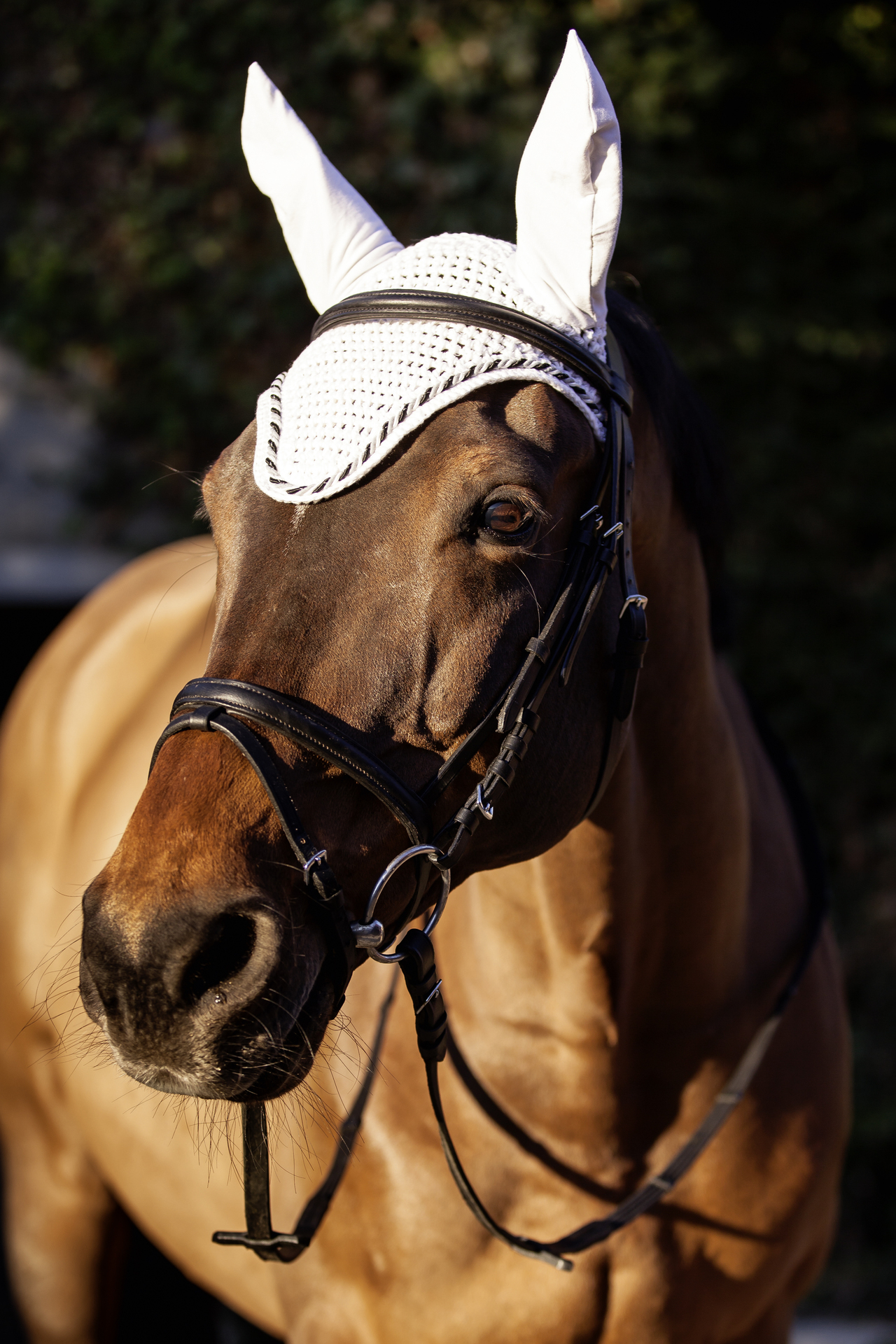 Fliegenhaube Classic bei leitermann.de günstig kaufen Fliegenhaube Classic