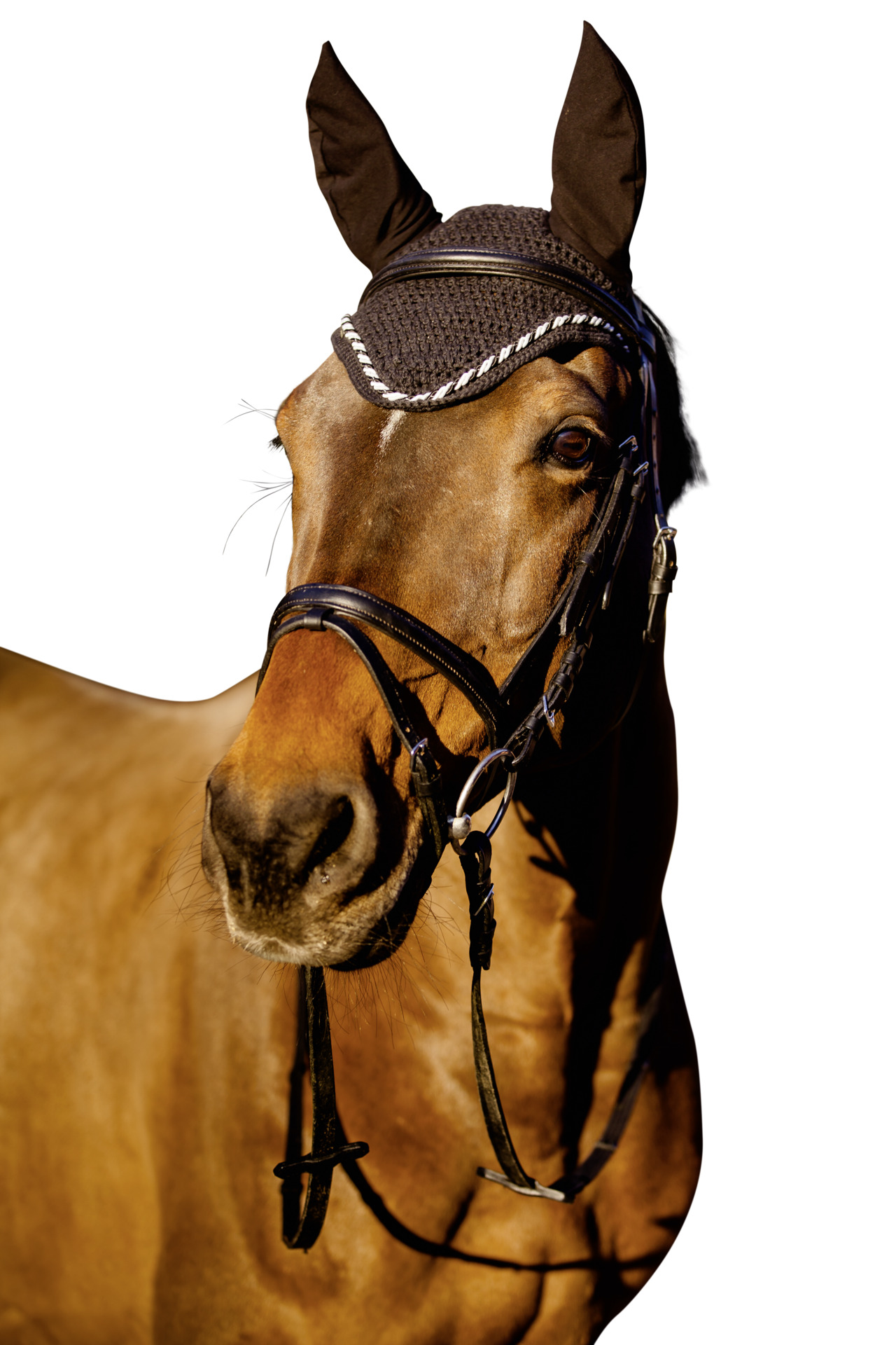 Fliegenhaube Classic bei leitermann.de günstig kaufen Fliegenhaube Classic