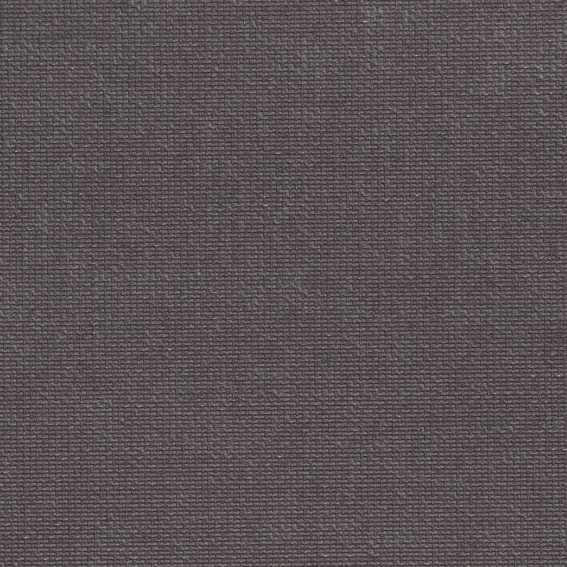 Seitenzug-Rollo Uni Tageslicht