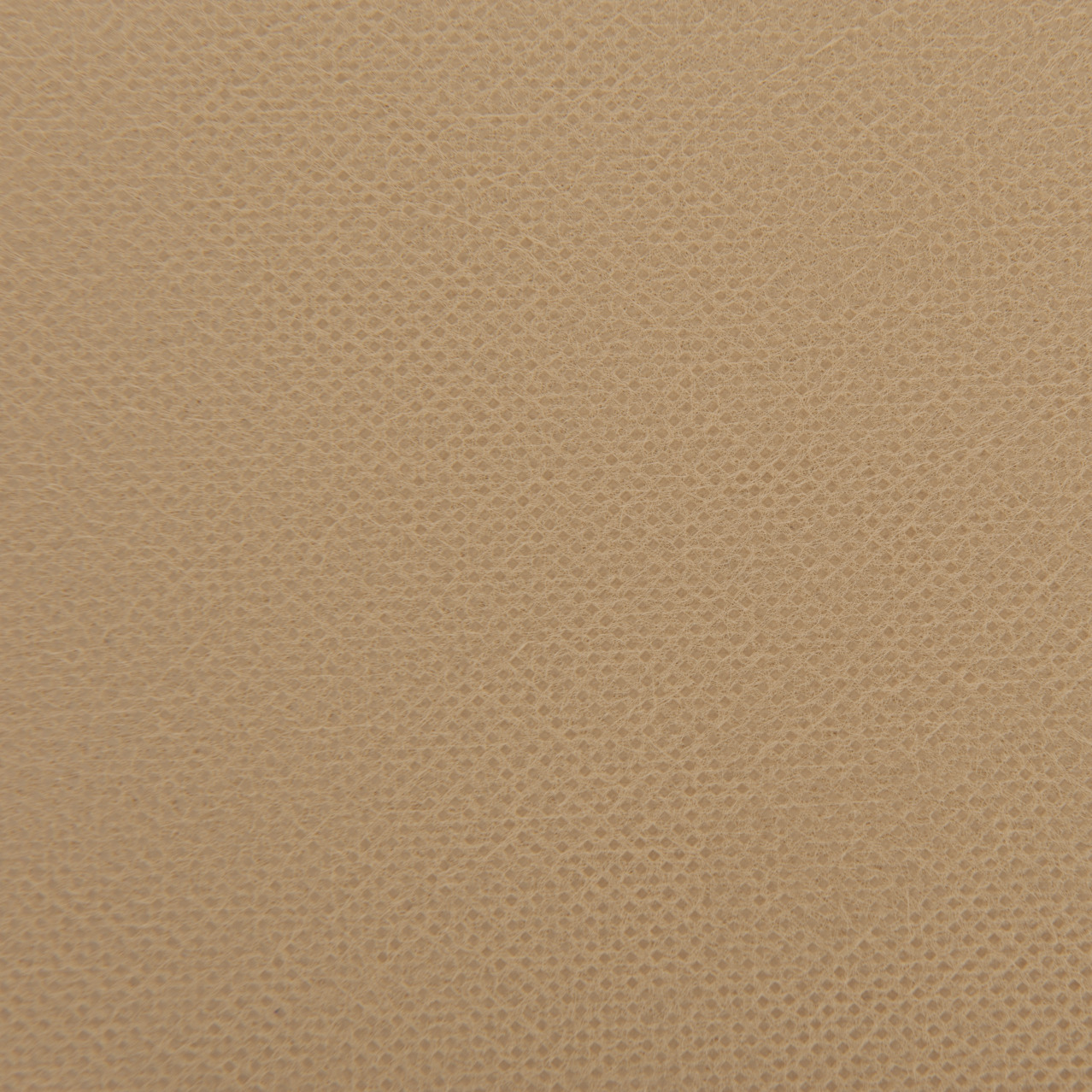 Winter-Vlies Protect