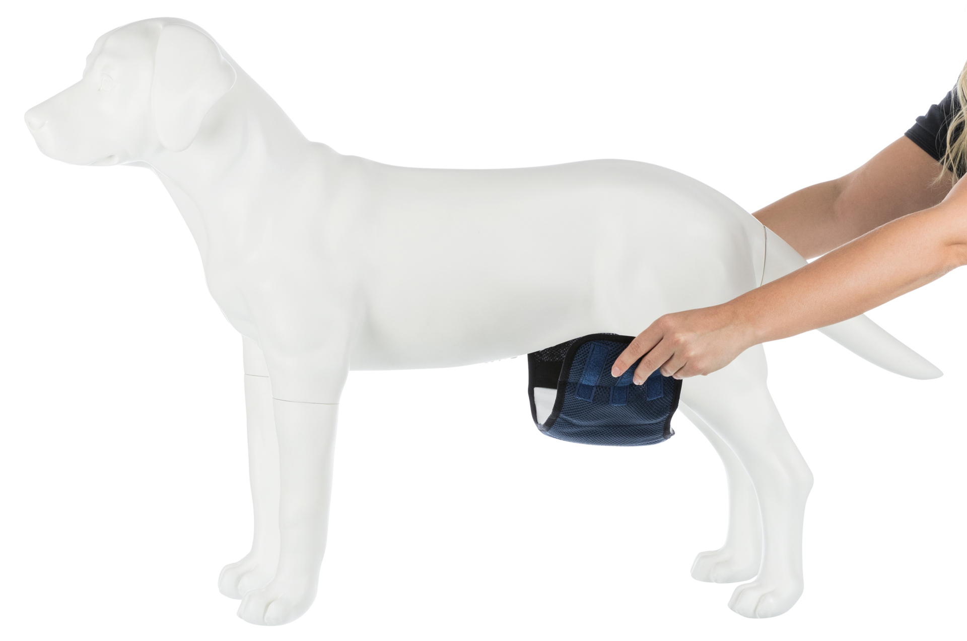 Windeln für Rüden, waschbar