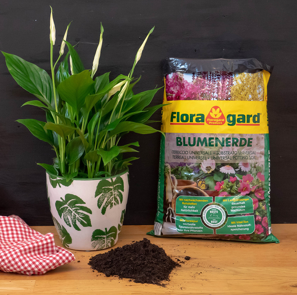 Blumenerde 3x5L bei leitermann.de günstig kaufen Blumenerde 3x5L