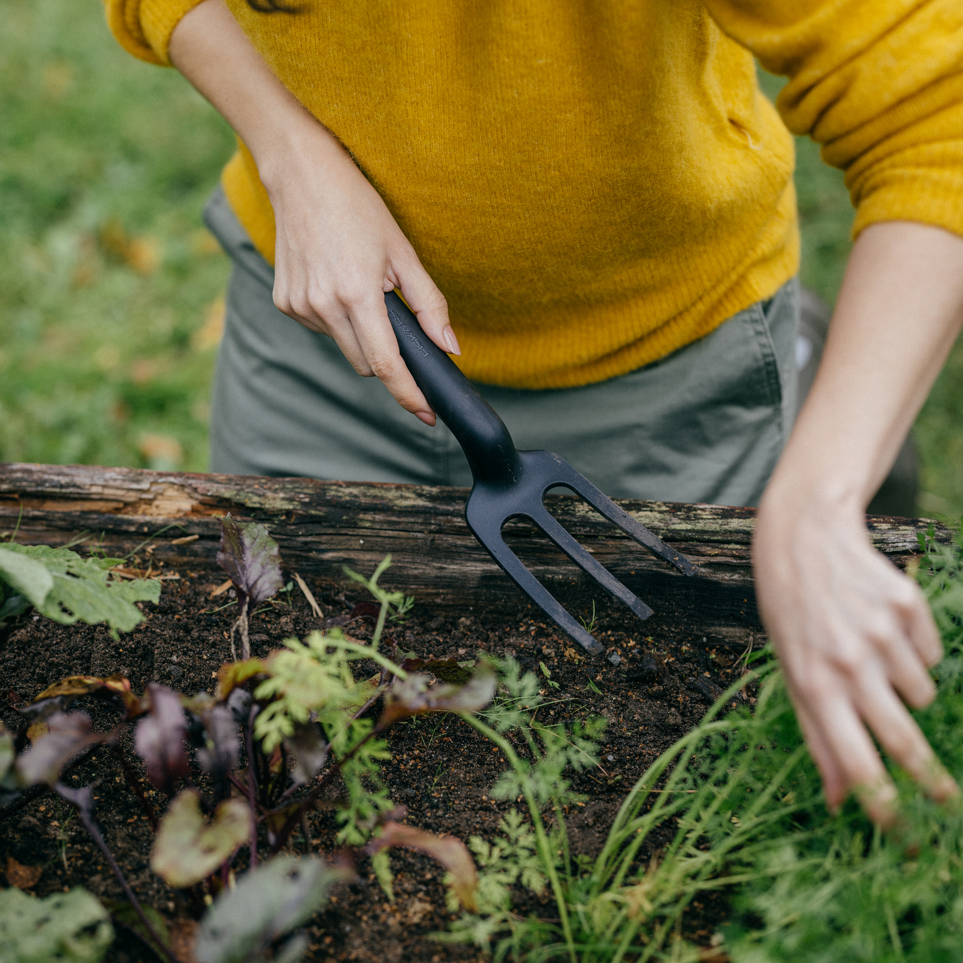 Solid™ Pflanzgabel bei leitermann.de günstig kaufen Solid™ Pflanzgabel