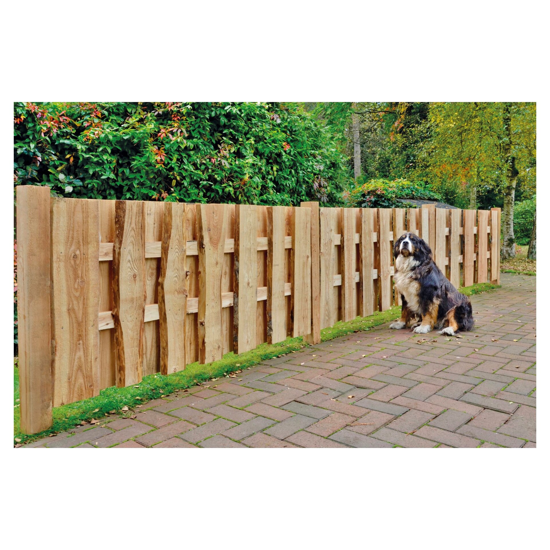 JÜTLAND-Serie Lärche bei leitermann.de günstig kaufen JÜTLAND-Serie Lärche