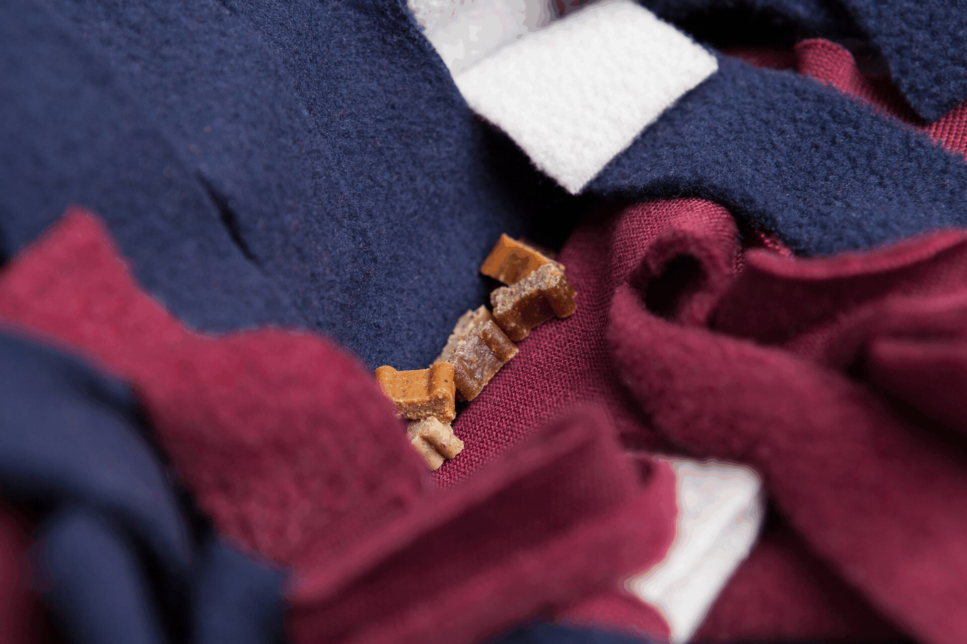 Strategie-Spiel Schnüffelteppich bei leitermann.de günstig kaufen Strategie-Spiel Schnüffelteppich