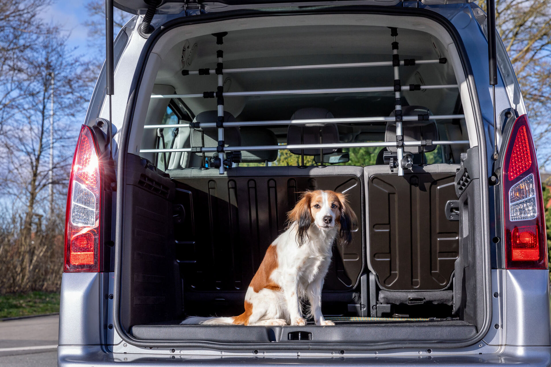 Auto-Gitter bei leitermann.de günstig kaufen Auto-Gitter