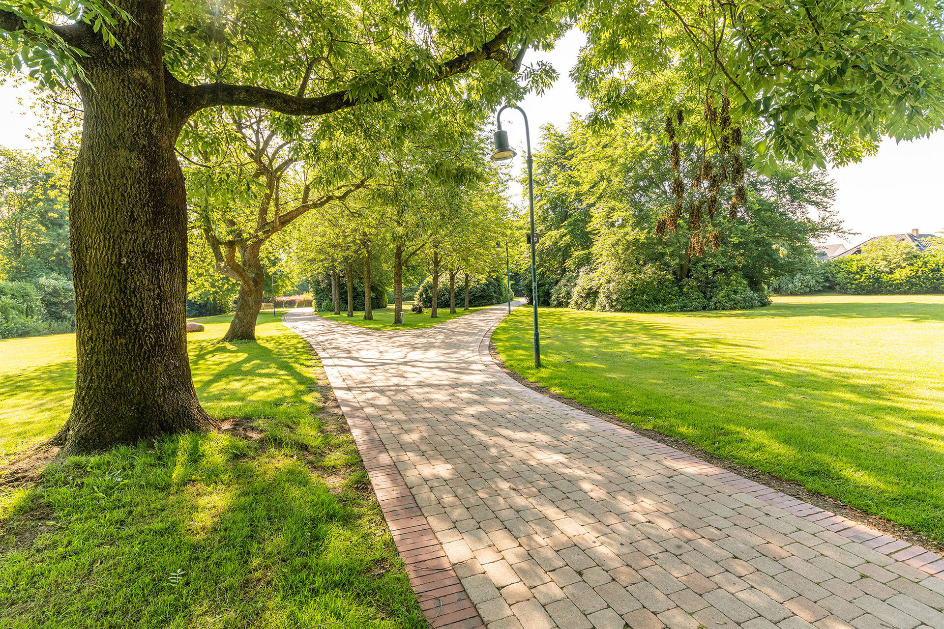 Pflasterstein Antik, gekantet bei leitermann.de günstig kaufen Pflasterstein Antik, gekantet