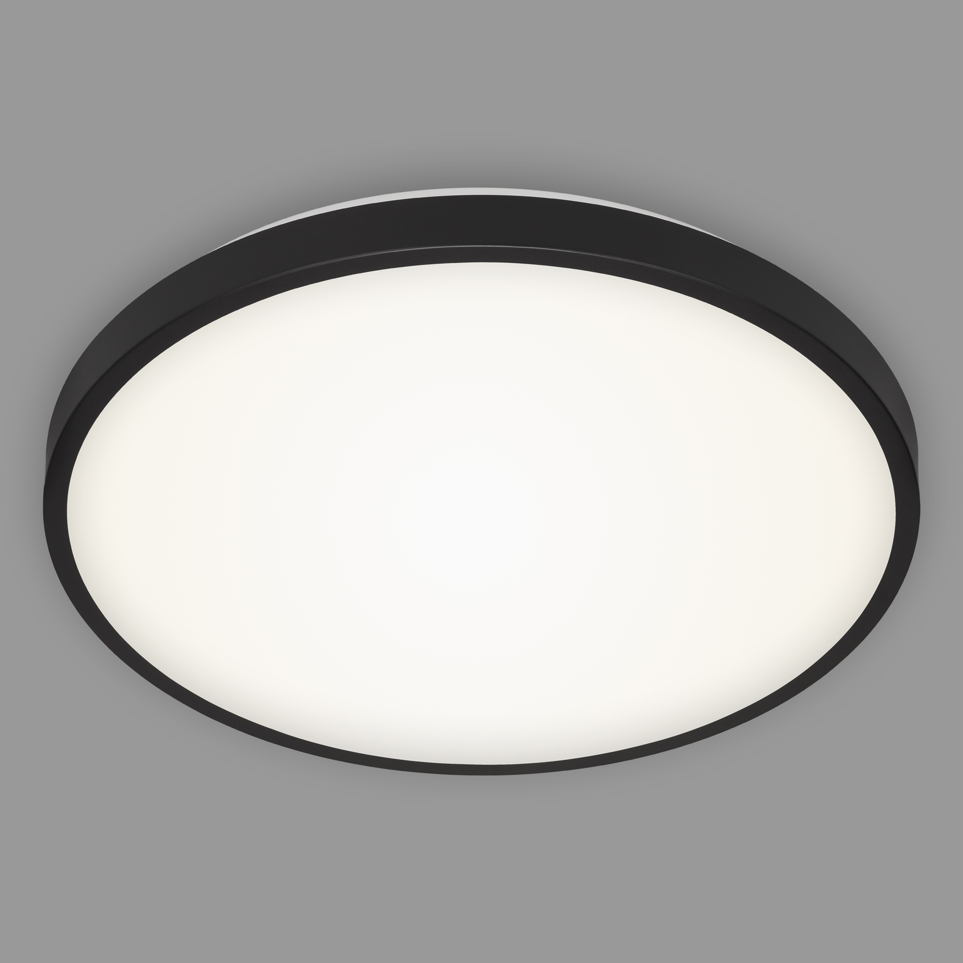 LED Deckenleuchte 1-flammig, schwarz bei leitermann.de günstig kaufen LED Deckenleuchte 1-flammig, schwarz