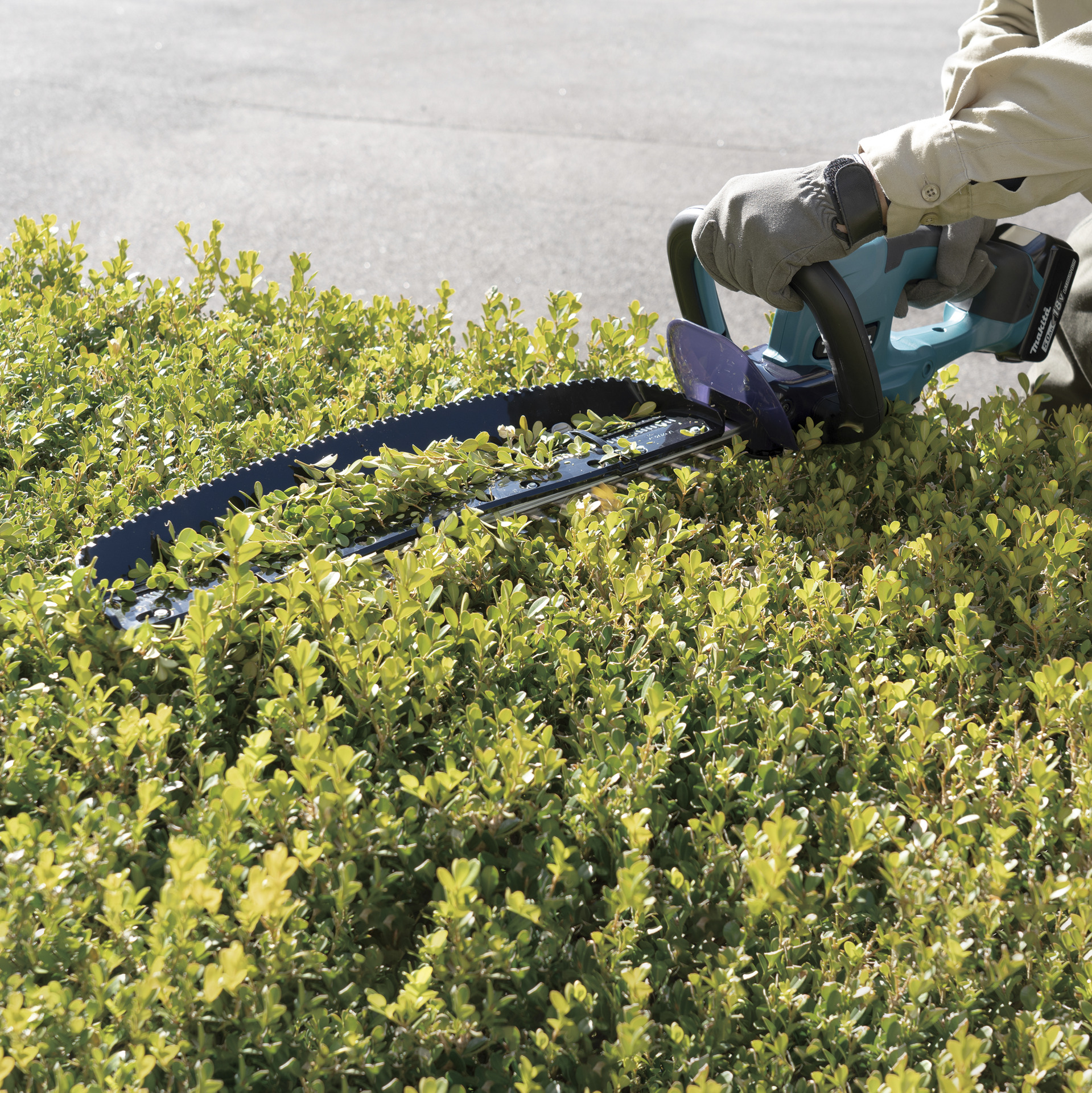 Akku-Heckenschere DUH507RF, 50cm, 18V, 3,0Ah bei leitermann.de günstig kaufen Akku-Heckenschere DUH507RF, 50cm, 18V, 3,0Ah