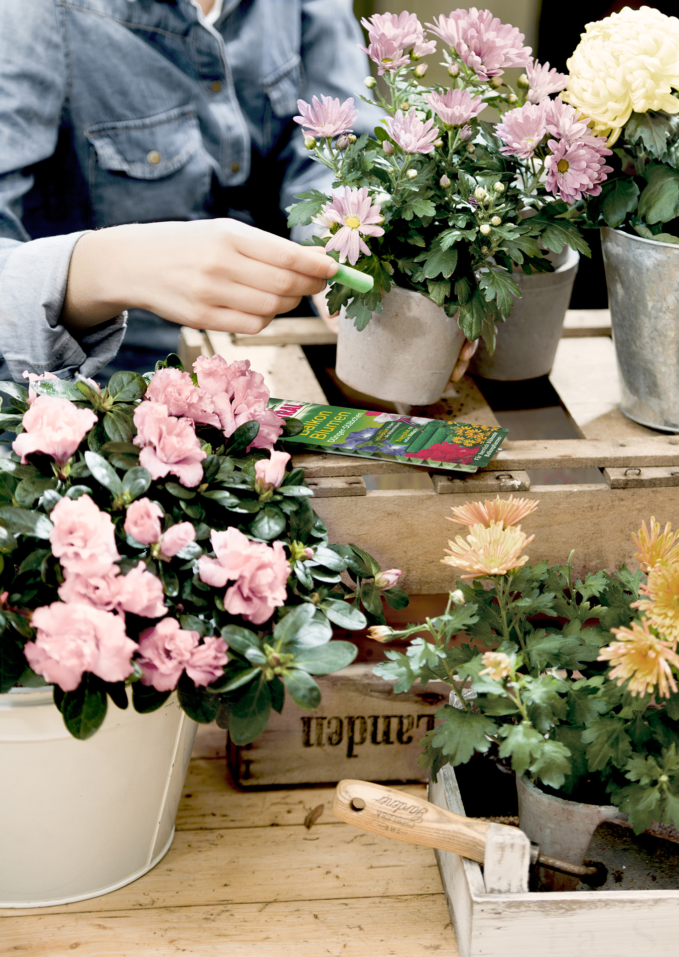 Balkonblumen Dünger-Stäbchen