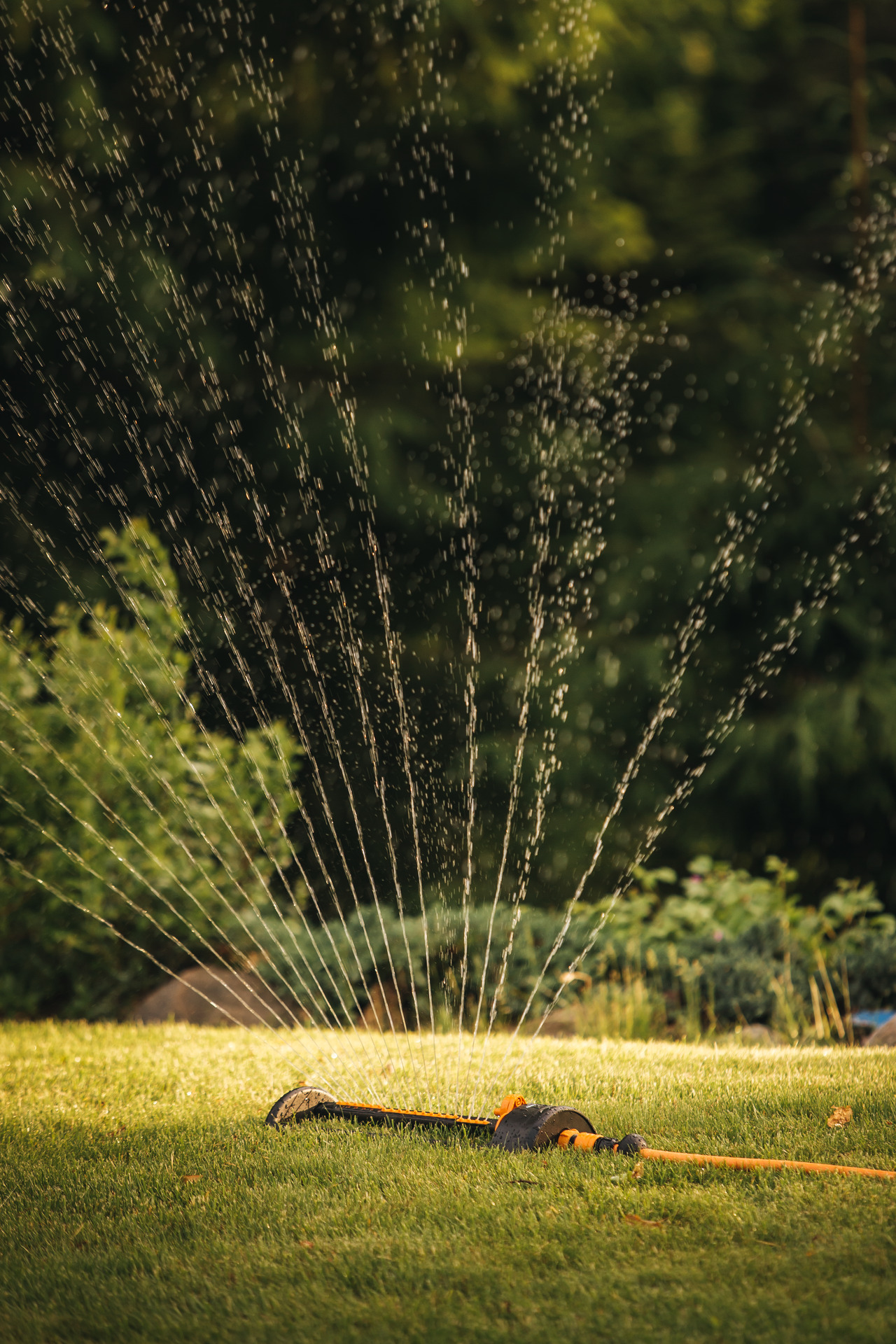 Wassersparender Sprinkler bei leitermann.de günstig kaufen Wassersparender Sprinkler