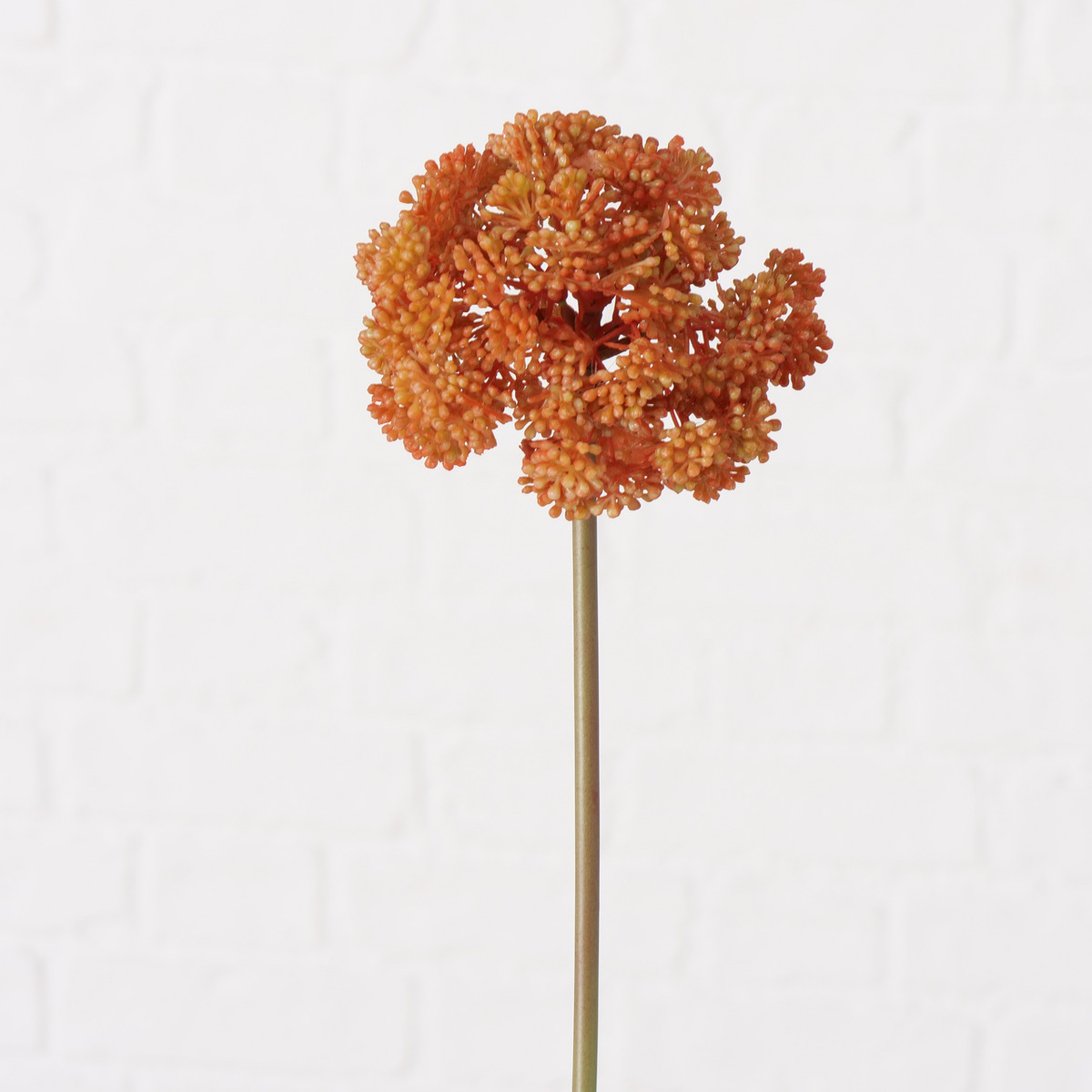 Stielblume 3-fach sortiert bei leitermann.de günstig kaufen Stielblume 3-fach sortiert