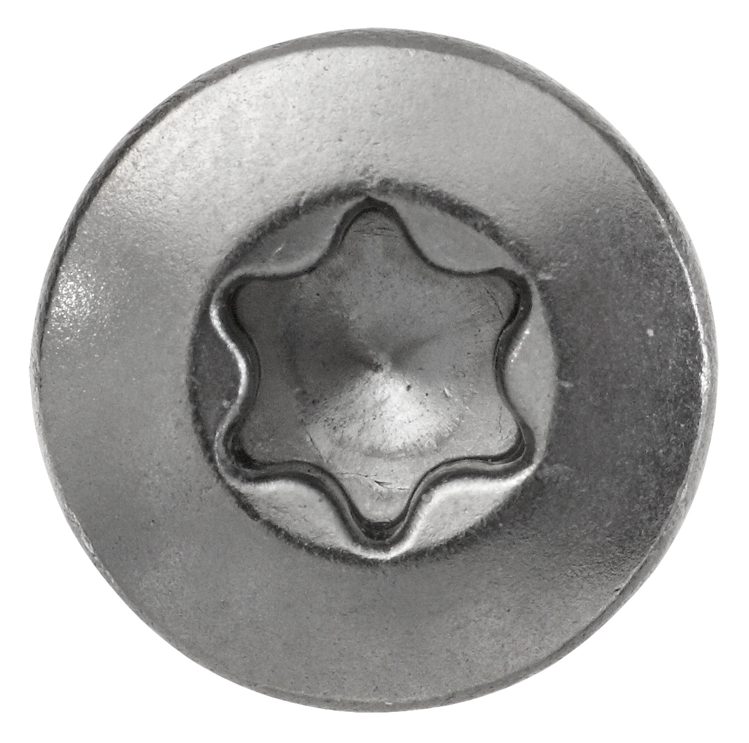 Holz-Fassadenschraube Edelstahl