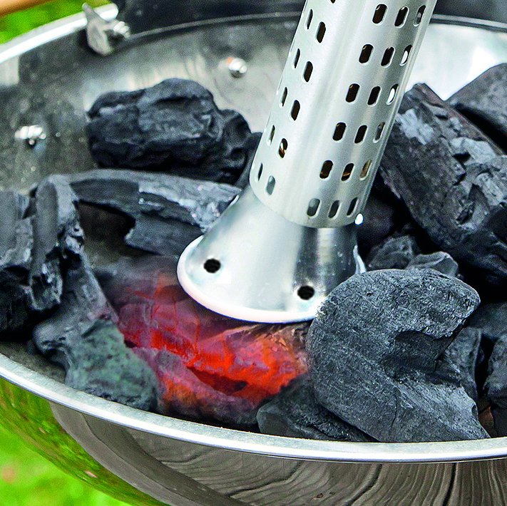 Unkrautbrenner Thermoflamm bio Electro, 230V, Gillanzünder bei leitermann.de günstig kaufen Unkrautbrenner Thermoflamm bio Electro, 230V, Gillanzünder