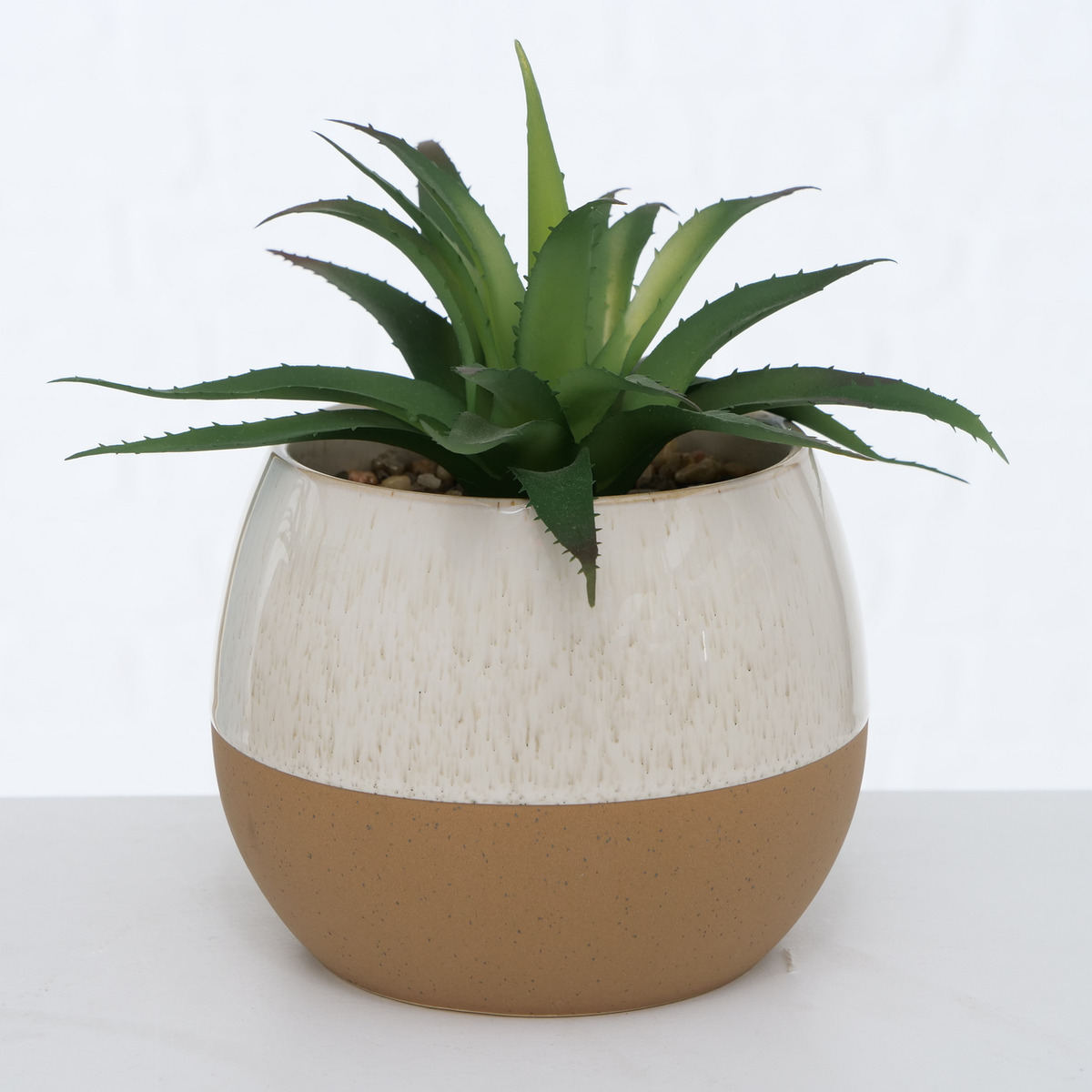 Topfpflanze Lovio, 2-fach sortiert bei leitermann.de günstig kaufen Topfpflanze Lovio, 2-fach sortiert