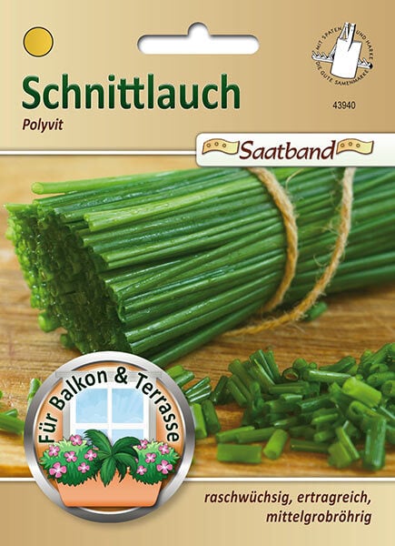 Schnittlauch - Polyvit / Allium schoenoprasum