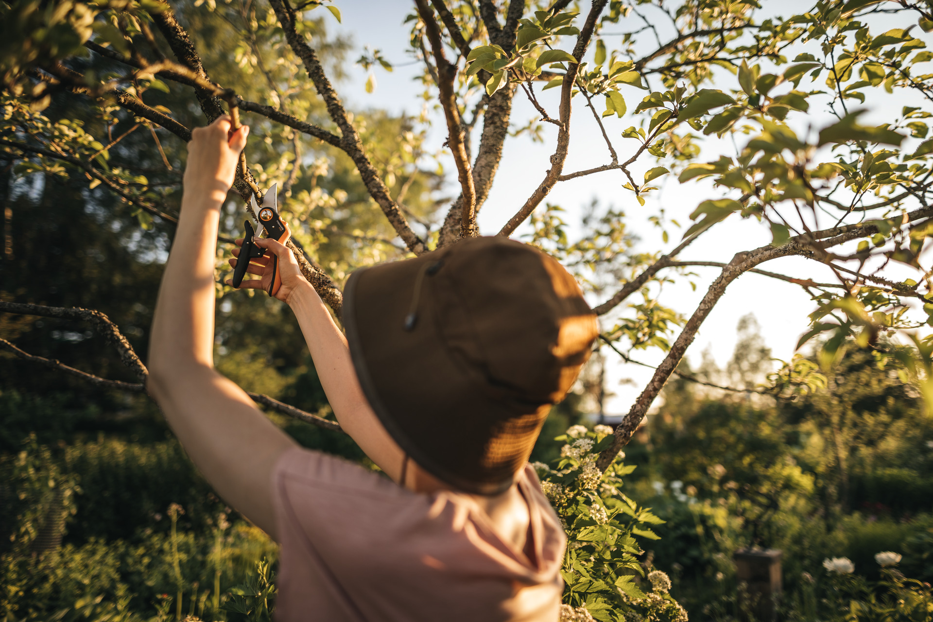 Plus Bypass-Gartenschere P721 bei leitermann.de günstig kaufen Plus Bypass-Gartenschere P721