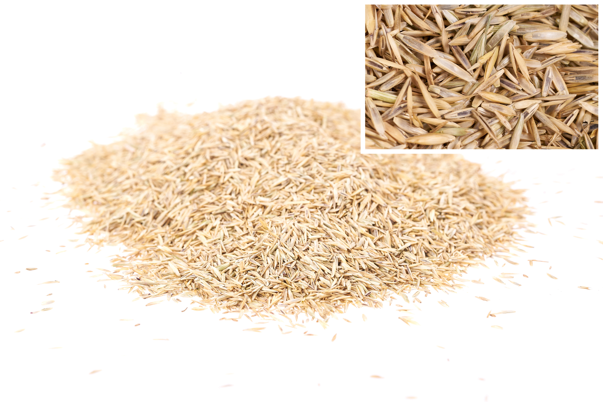 U-Spielrasen LG 125 SPORT U-125