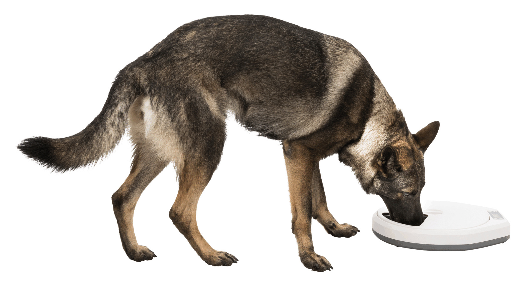 Futterautomat TX4+1 bei leitermann.de günstig kaufen Futterautomat TX4+1