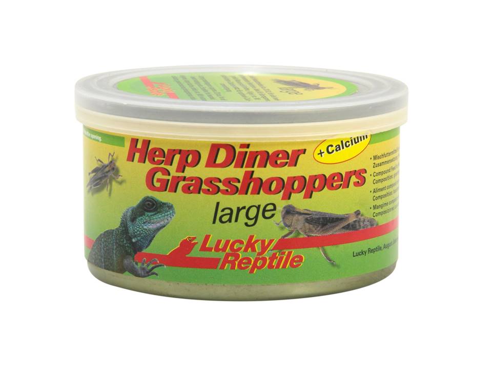 Reptilienfutter