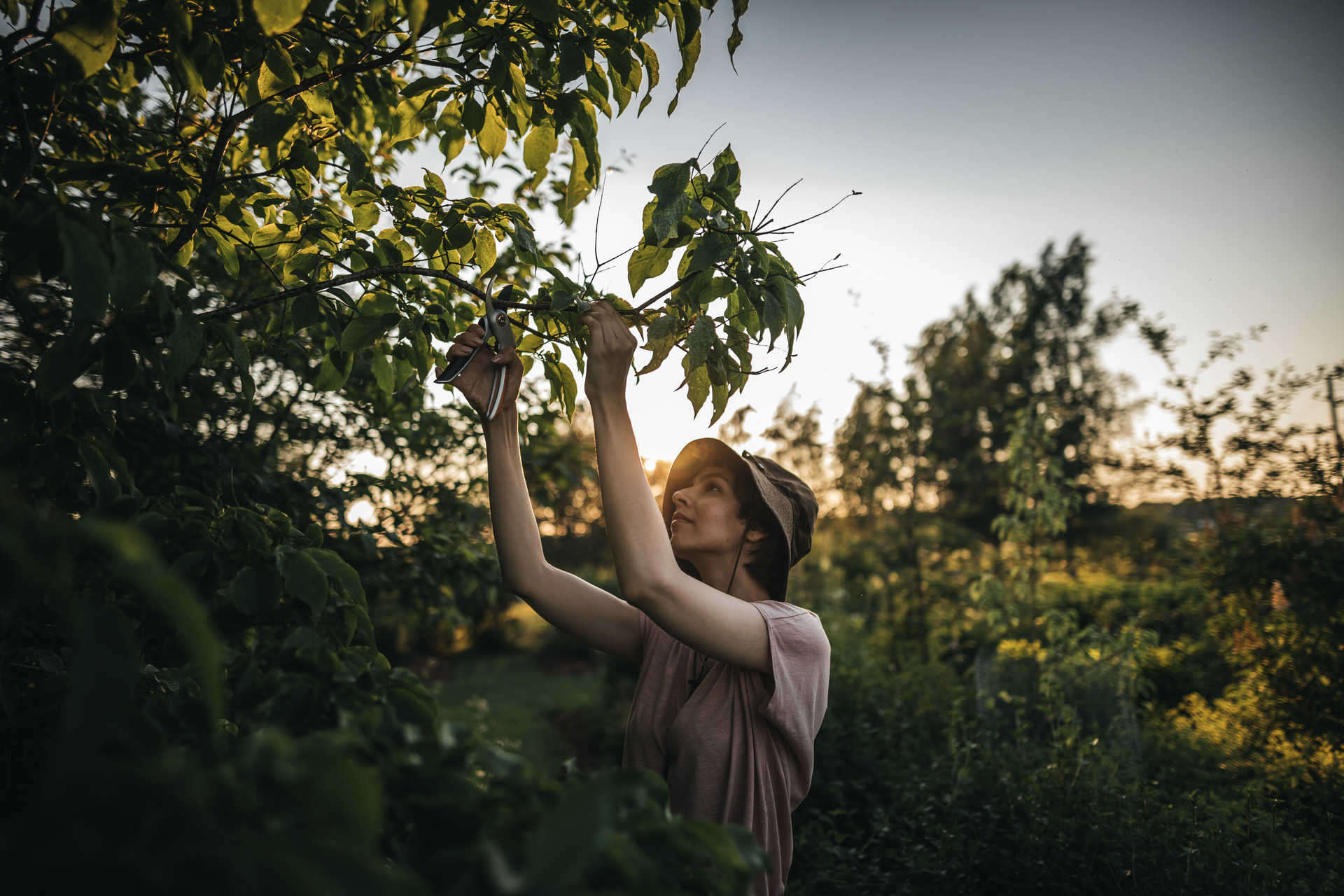 Plus Metall Bypass-Gartenschere P531