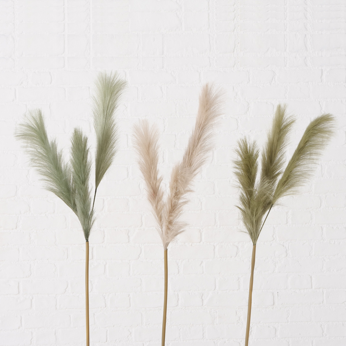 Dekozweig Pampasgras 3-fach sortiert bei leitermann.de günstig kaufen Dekozweig Pampasgras 3-fach sortiert
