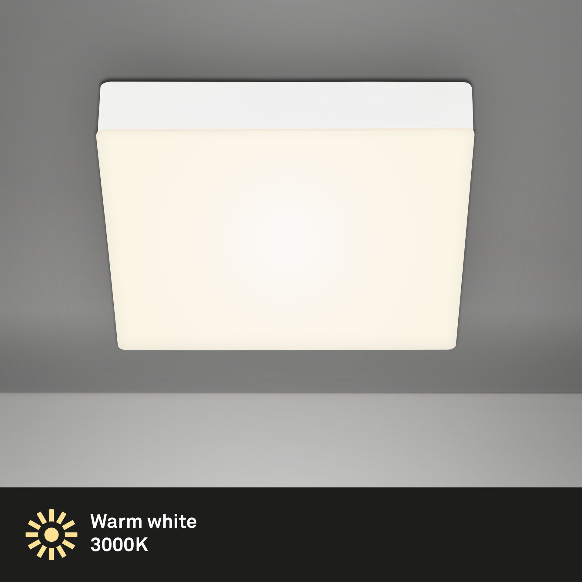 FLAME LED Aufbauleuchte bei leitermann.de günstig kaufen FLAME LED Aufbauleuchte