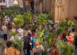 Moving Garden bewegt Chemnitz | Ein Projekt von Maider López