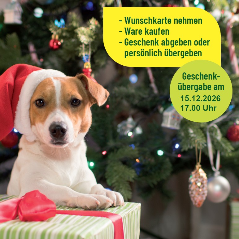 Wunschbaum Tierheim 2026